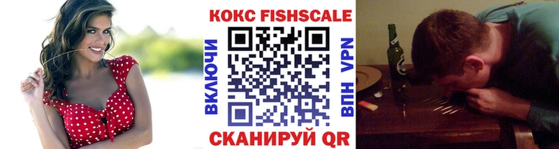 дарнет шоп  kraken как зайти  КОКАИН FishScale  Волгодонск 