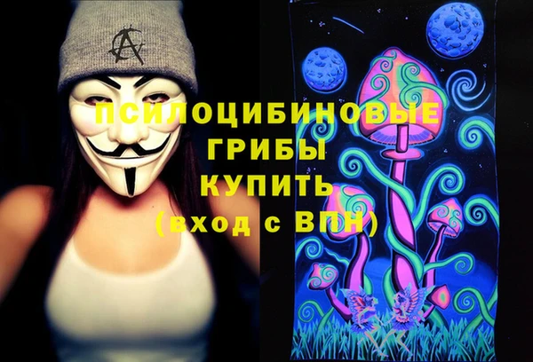 дурь Бородино
