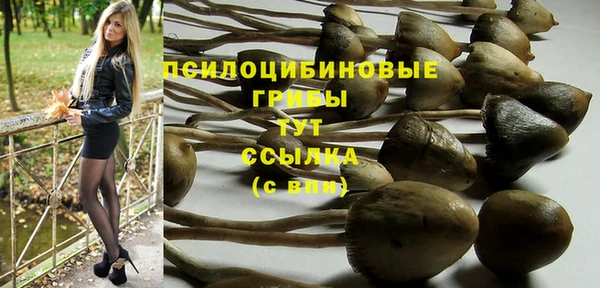 дурь Бородино