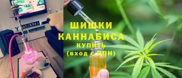 дурь Бородино
