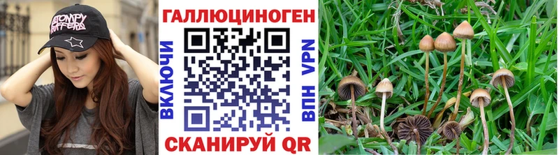 Галлюциногенные грибы GOLDEN TEACHER Волгодонск